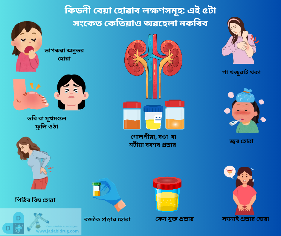 You are currently viewing কিডনী বা বৃক্ক বেয়া হোৱাৰ লক্ষণসমূহ: এই ৫টা সংকেত কেতিয়াও অৱহেলা নকৰিব | Kidney Damage Symptoms in Assamese